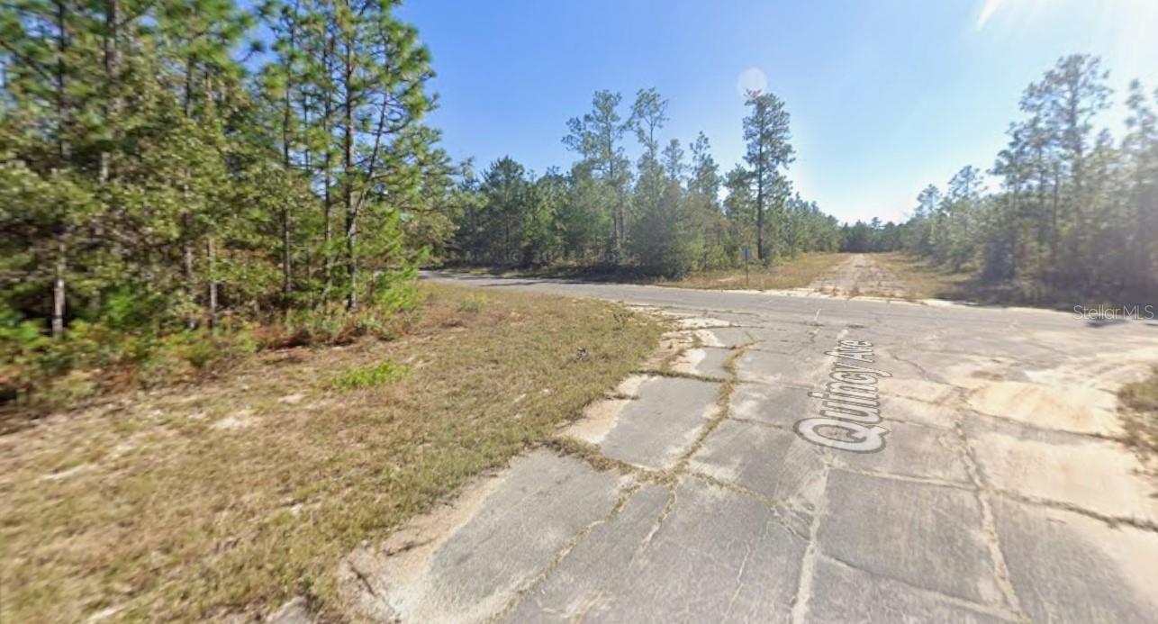 Image 4 of 7 For Windbrook Street