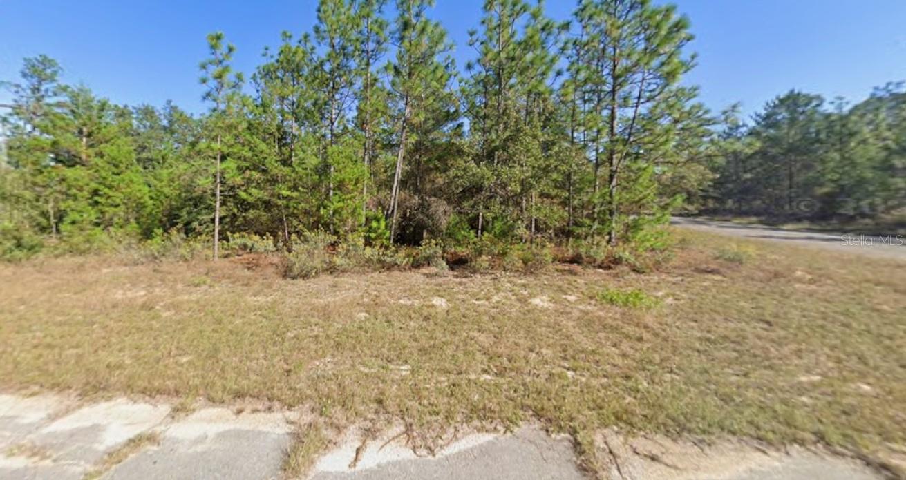 Image 6 of 7 For Windbrook Street