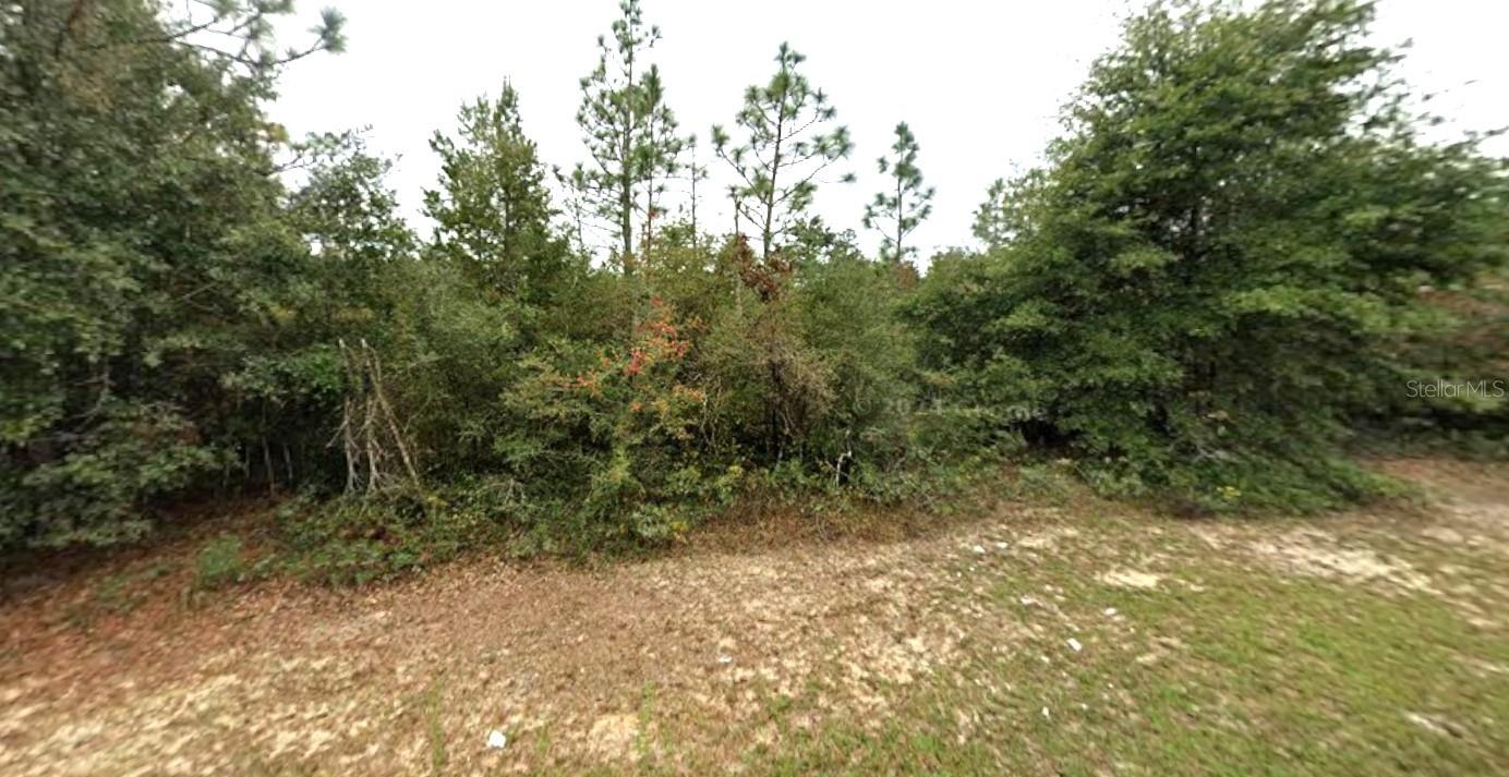 Image 5 of 5 For Hemlock Circle