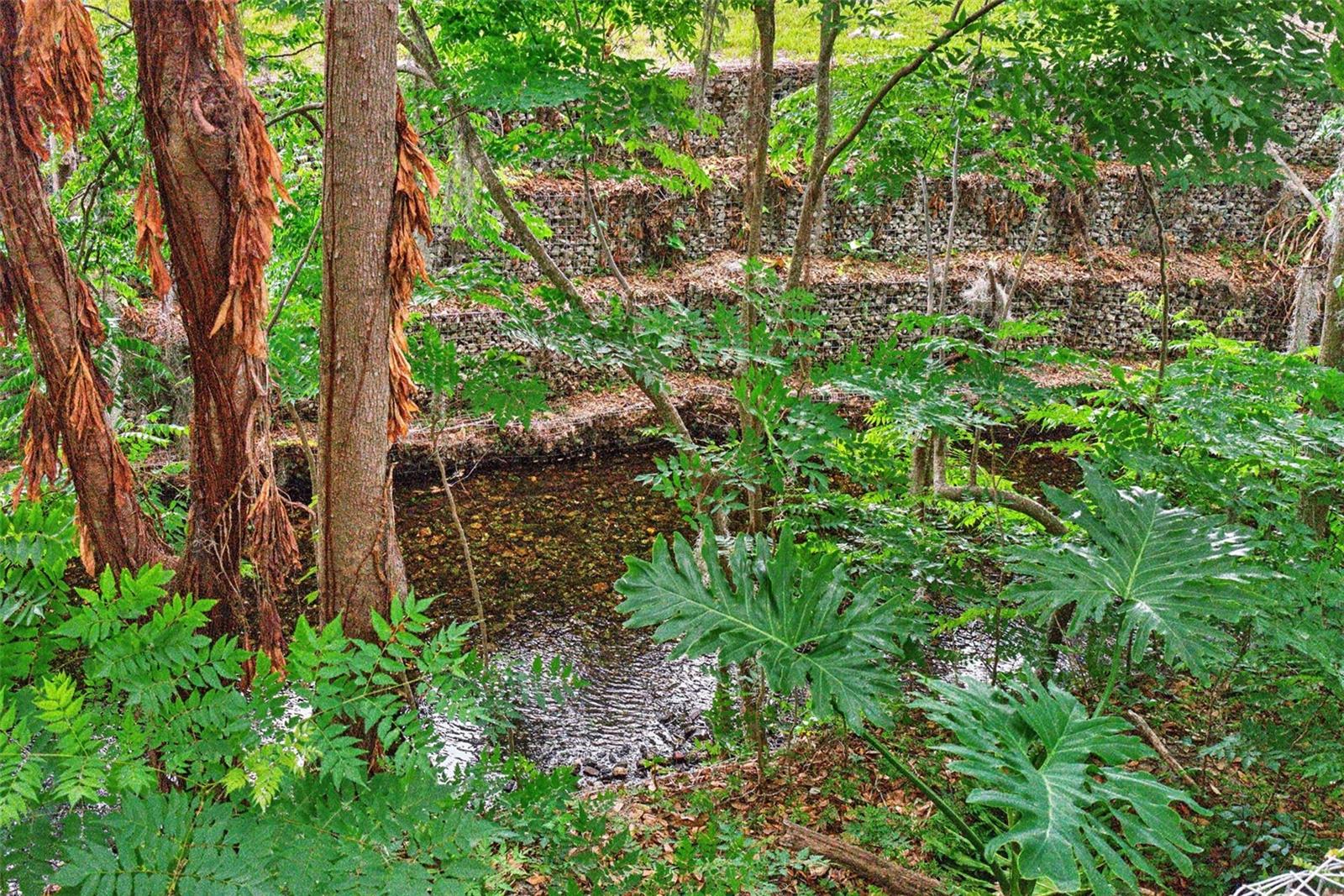 Image 2 of 63 For 517 San Sebastian Prado