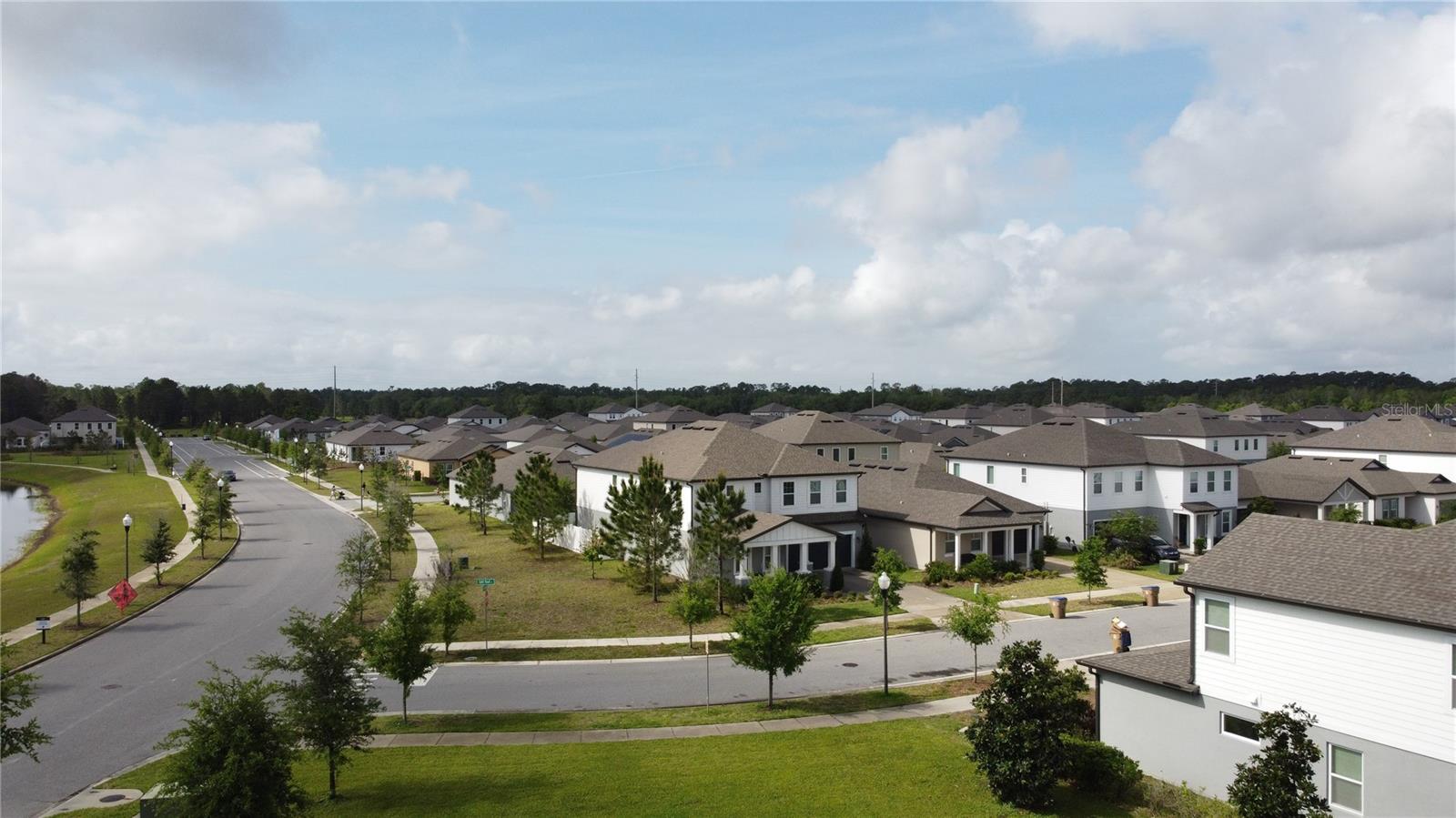 Image 71 of 72 For 671 Split Hoof Drive