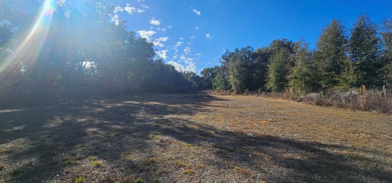 Image 3 of 5 For Cleveland Street