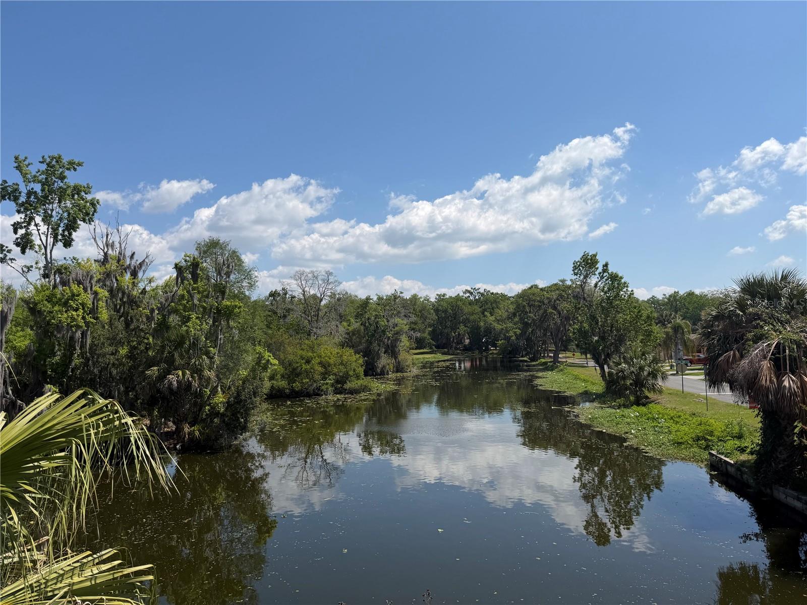 Image 28 of 30 For 804 Palm Harbor Court