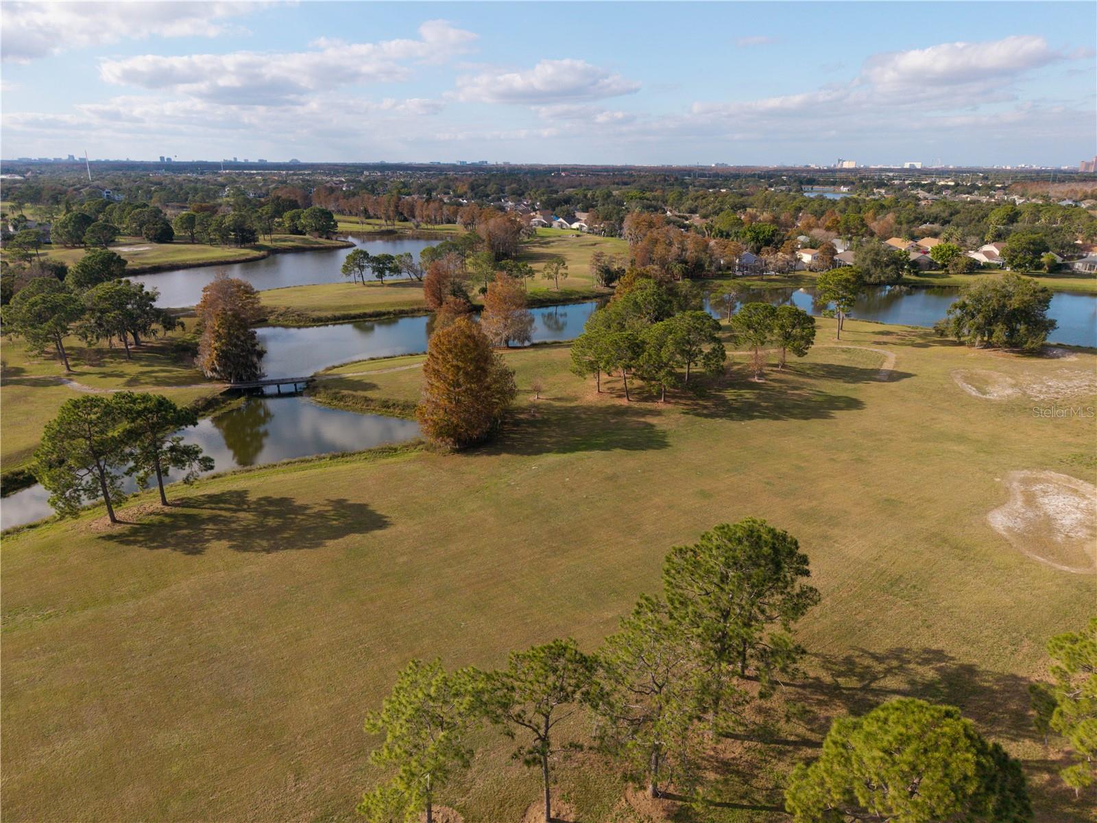 Image 11 of 80 For 13838 Fairway Island Drive 1436