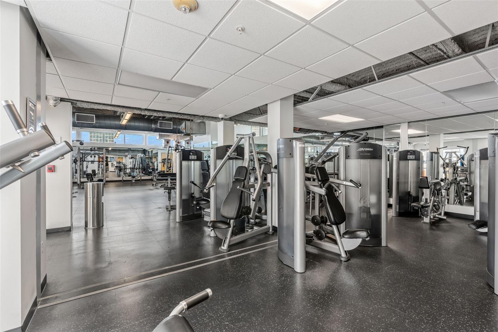 Image 50 of 66 For 150 Robinson Street 3208