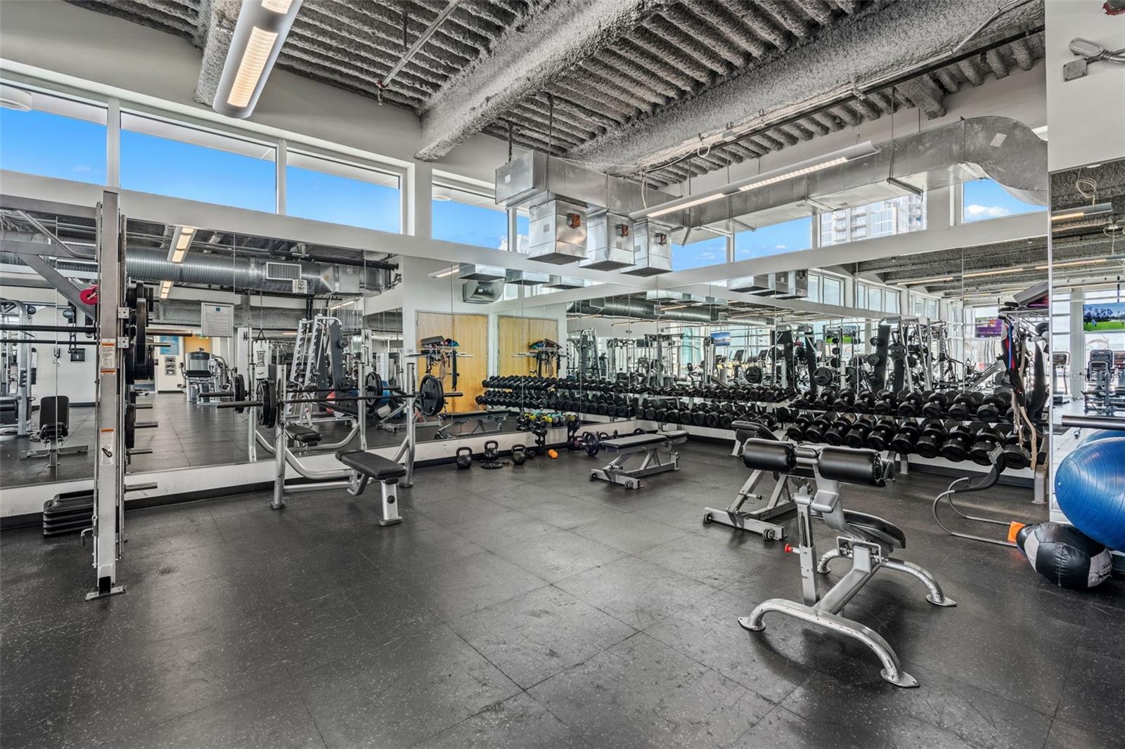 Image 52 of 66 For 150 Robinson Street 3208