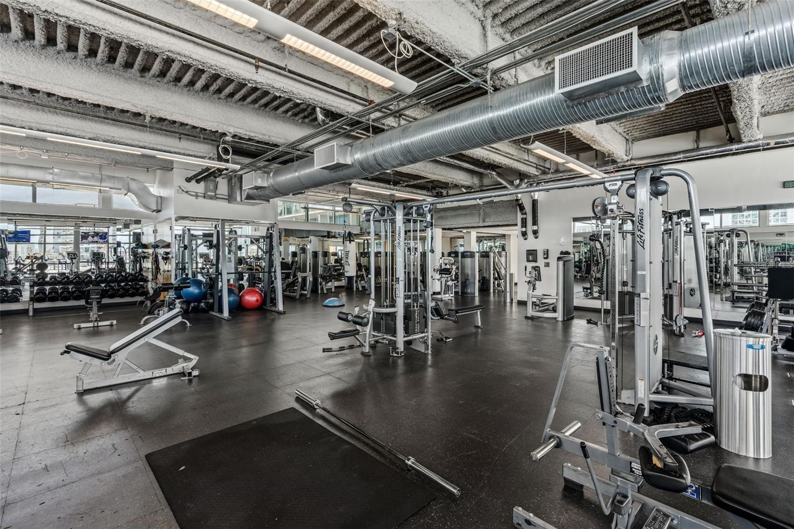 Image 54 of 66 For 150 Robinson Street 3208