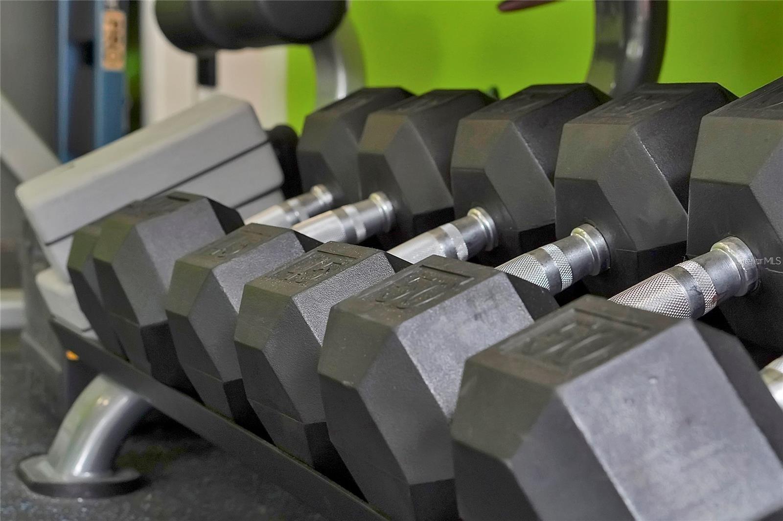 Image 50 of 74 For 7705 Apple Tree Circle