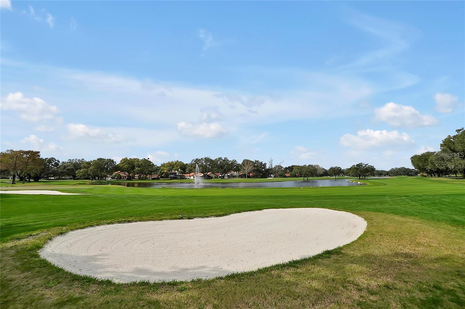 Image 70 of 74 For 7705 Apple Tree Circle