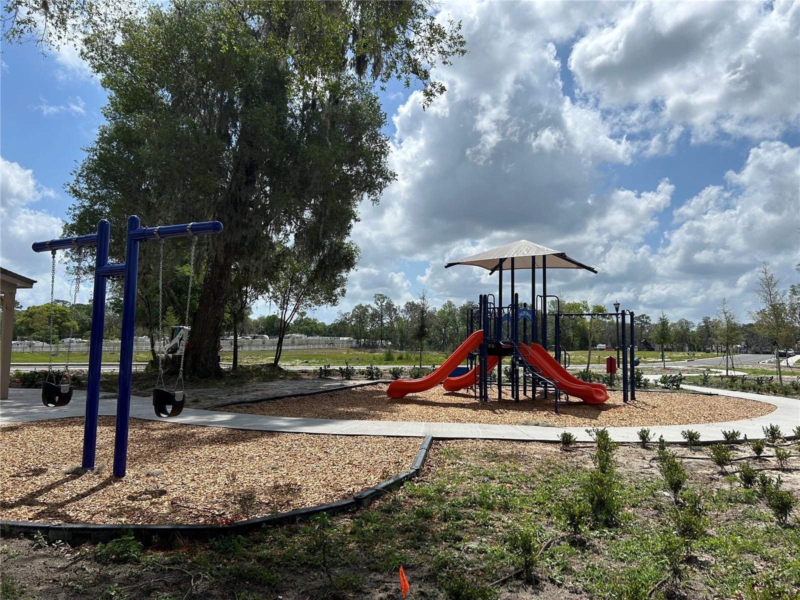 Image 14 of 18 For 243 Fredericksburg Avenue