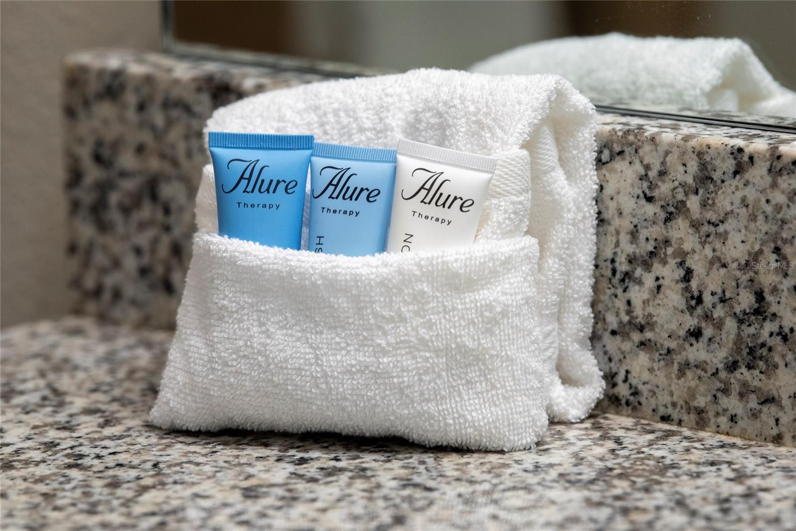 Image 5 of 51 For 4611 Terrasonesta Drive