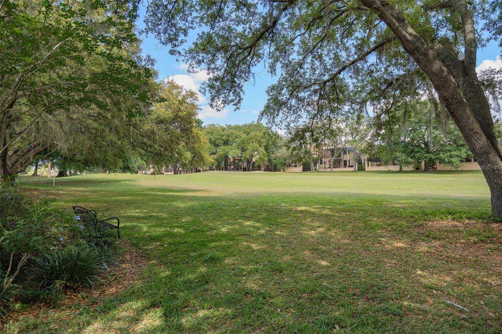 Image 44 of 47 For 1203 Tall Pine Drive