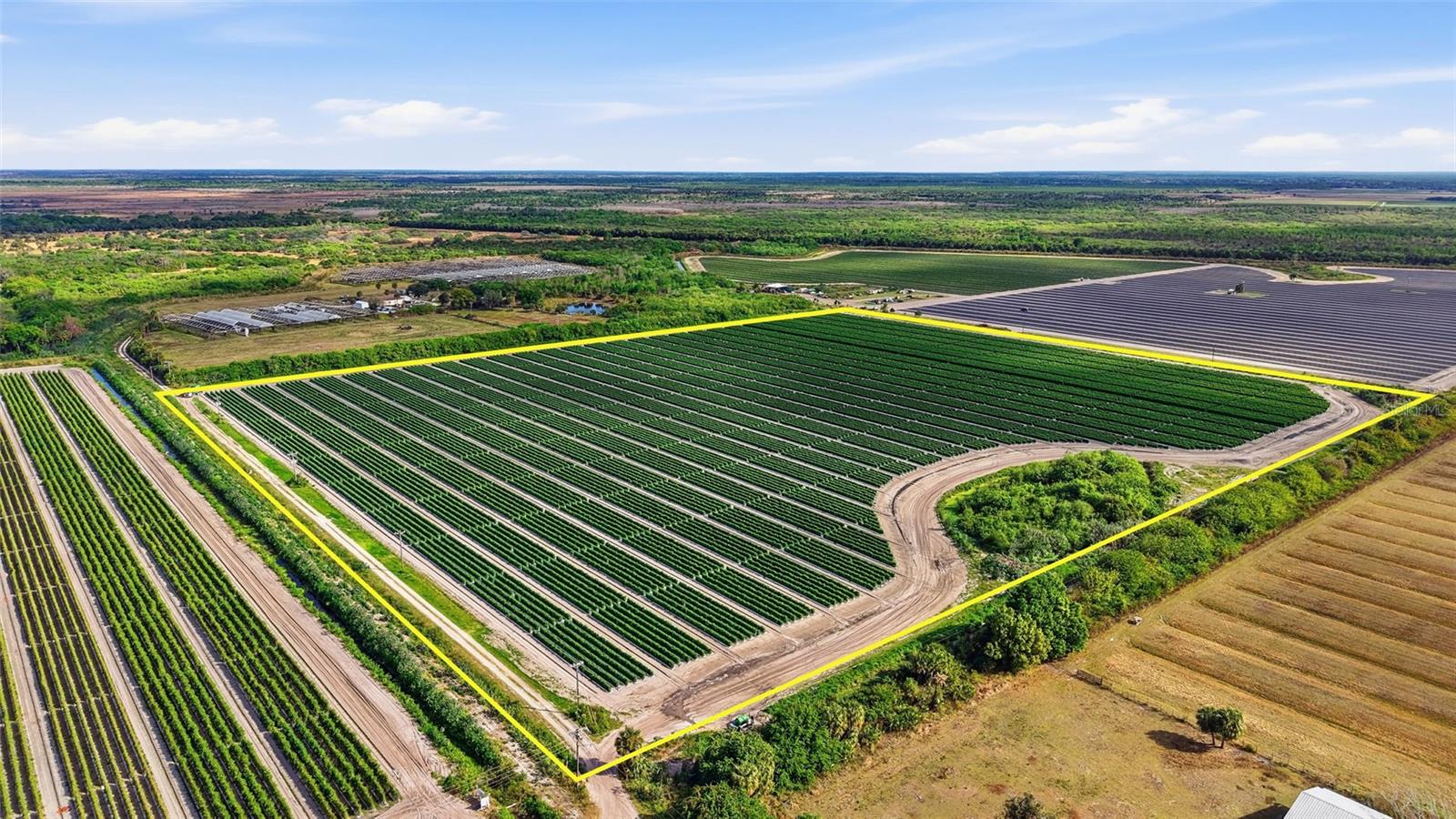 Details for 6150 Pringle Lane, IMMOKALEE, FL 34142