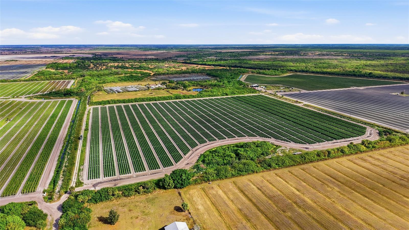 Image 15 of 27 For 6150 Pringle Lane