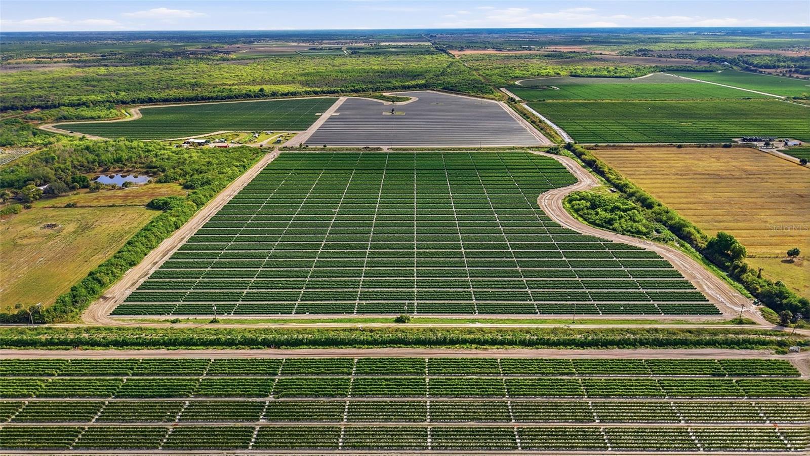 Image 19 of 27 For 6150 Pringle Lane