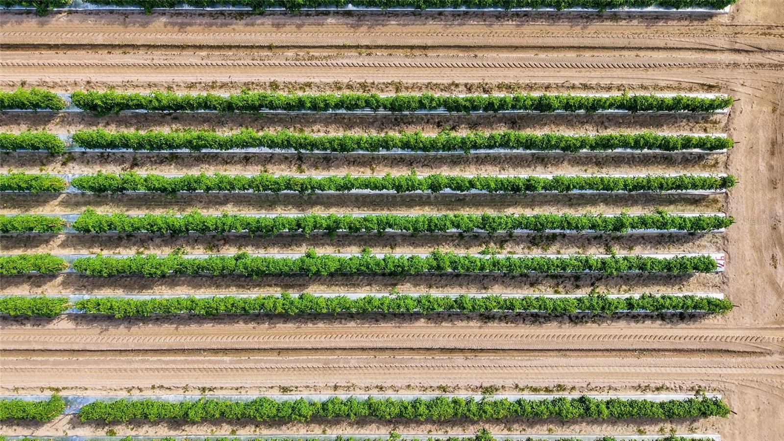 Image 22 of 27 For 6150 Pringle Lane