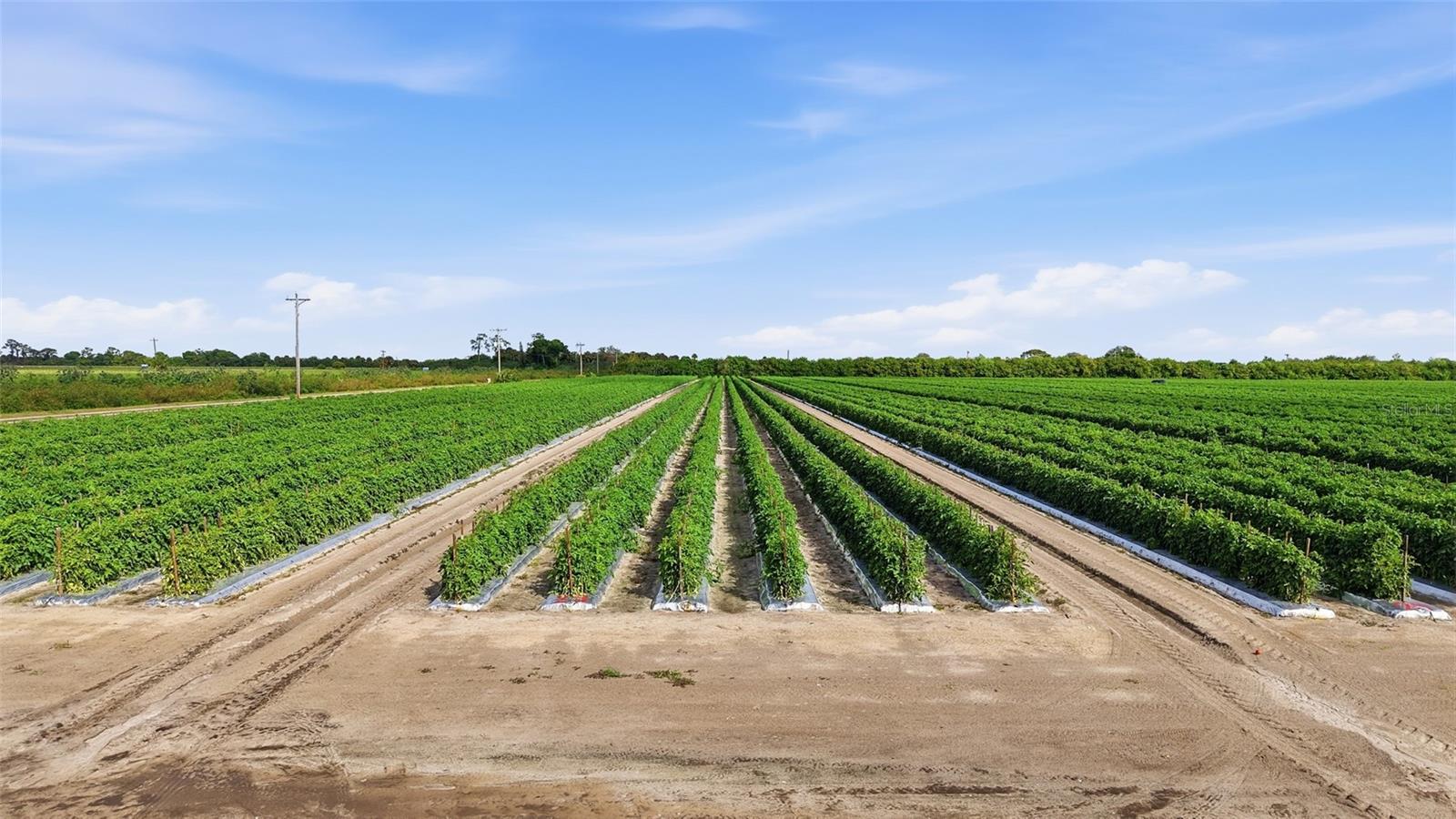 Image 27 of 27 For 6150 Pringle Lane