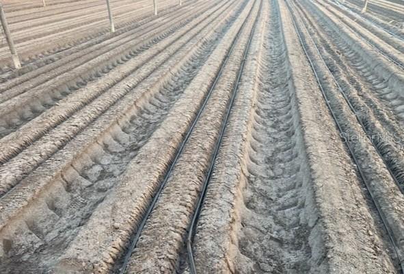 Image 5 of 27 For 6150 Pringle Lane