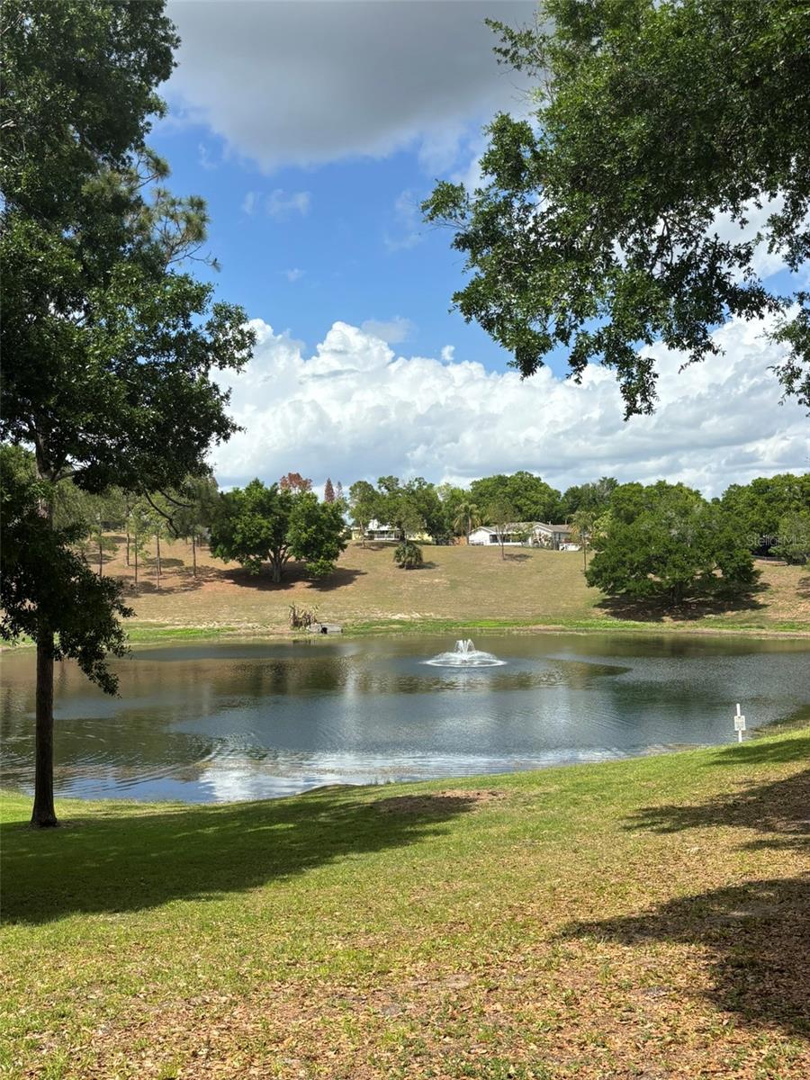 Image 19 of 24 For 14406 Greater Hills Boulevard