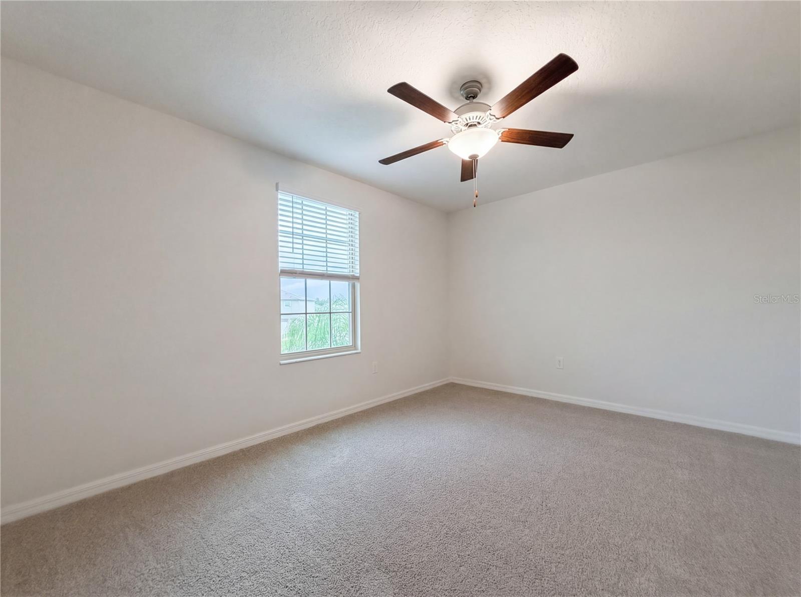 Image 36 of 41 For 11849 Blackeyed Susan Drive