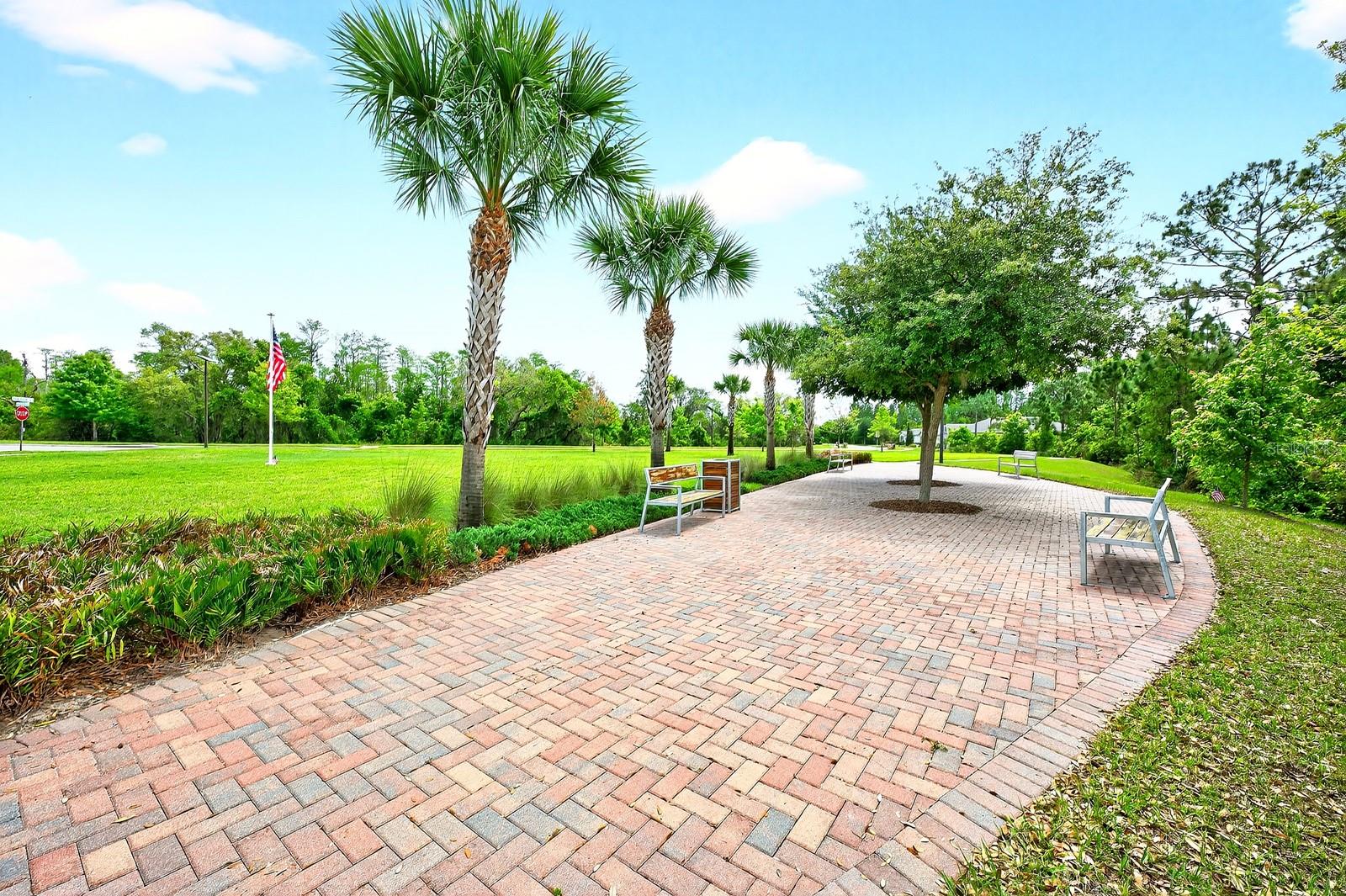 Image 39 of 41 For 3645 Blue Sage Loop