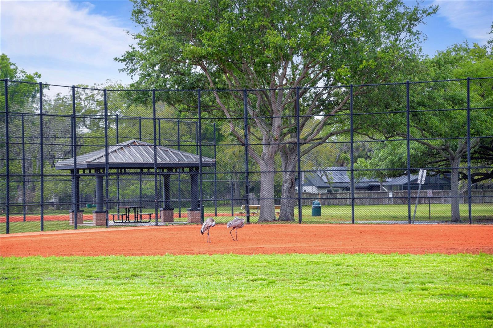 Image 32 of 32 For 610 Casa Park G Court