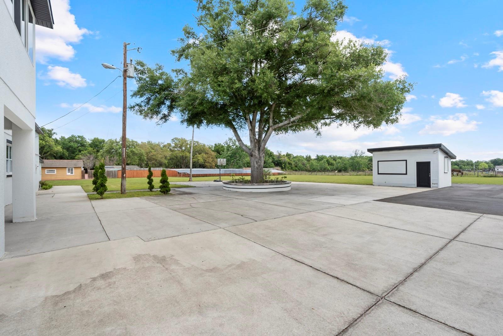 Image 6 of 57 For 2509 Appy Lane