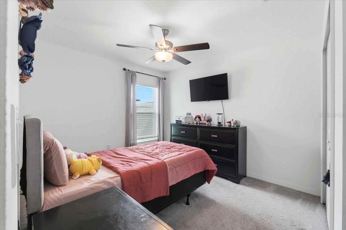 Image 28 of 51 For 1923 Red Loop