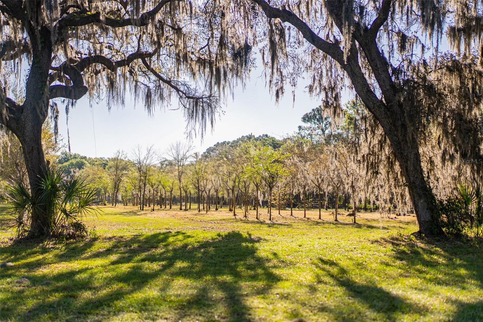 Image 17 of 18 For 280 Campbell Ranch Run