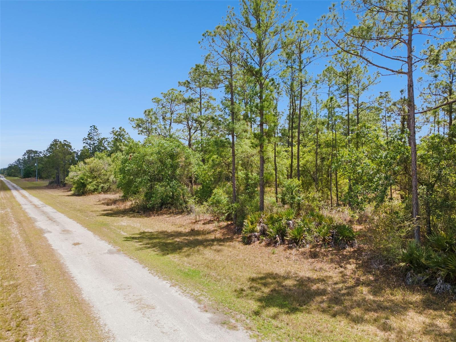 Image 7 of 17 For 3871 Gallardia Drive