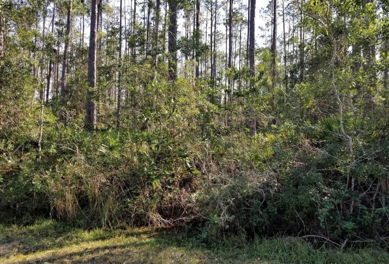 Image 6 of 6 For 3775 Breezy Court