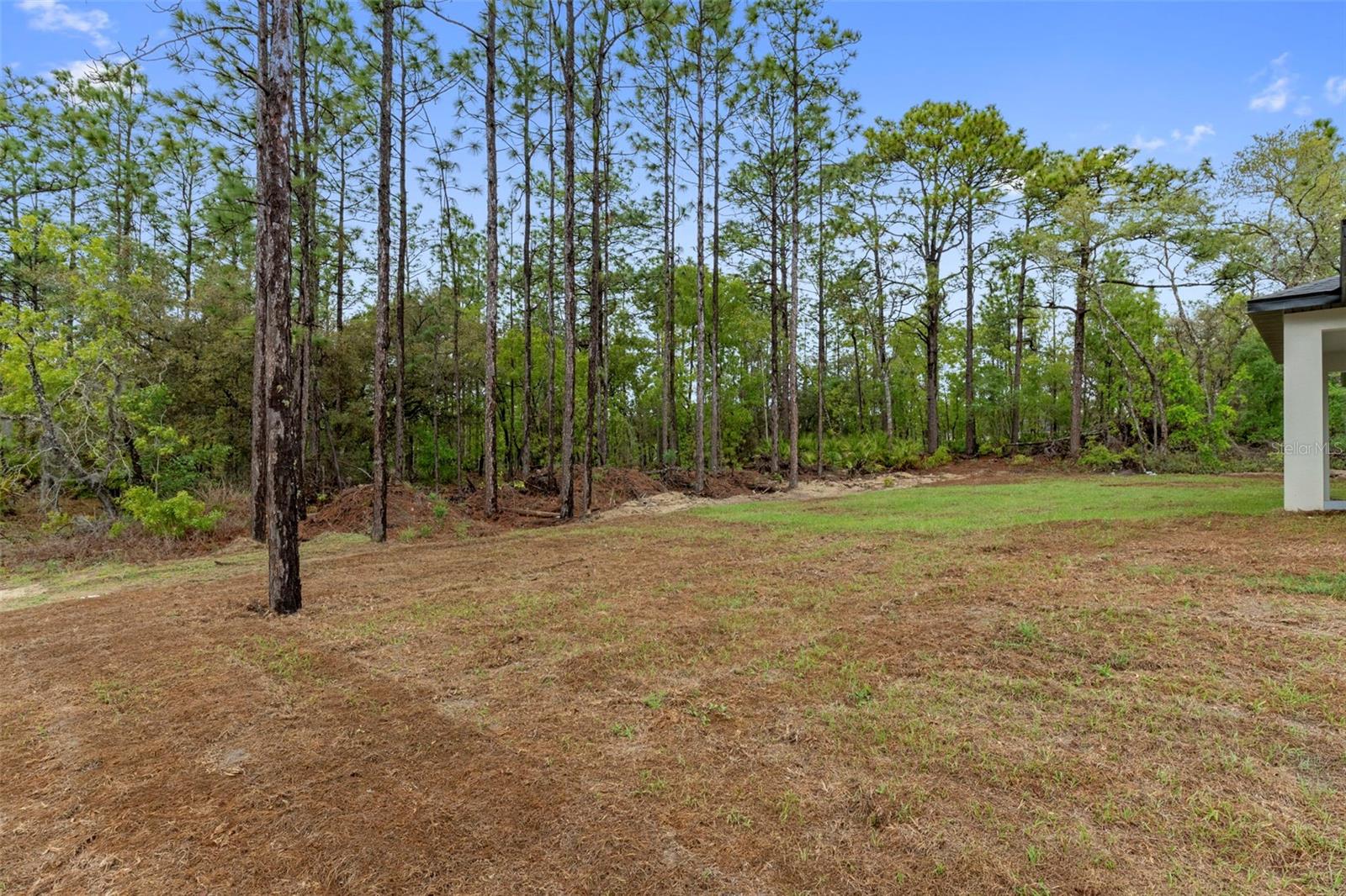 Image 32 of 35 For 7164 Dustin Terrace N