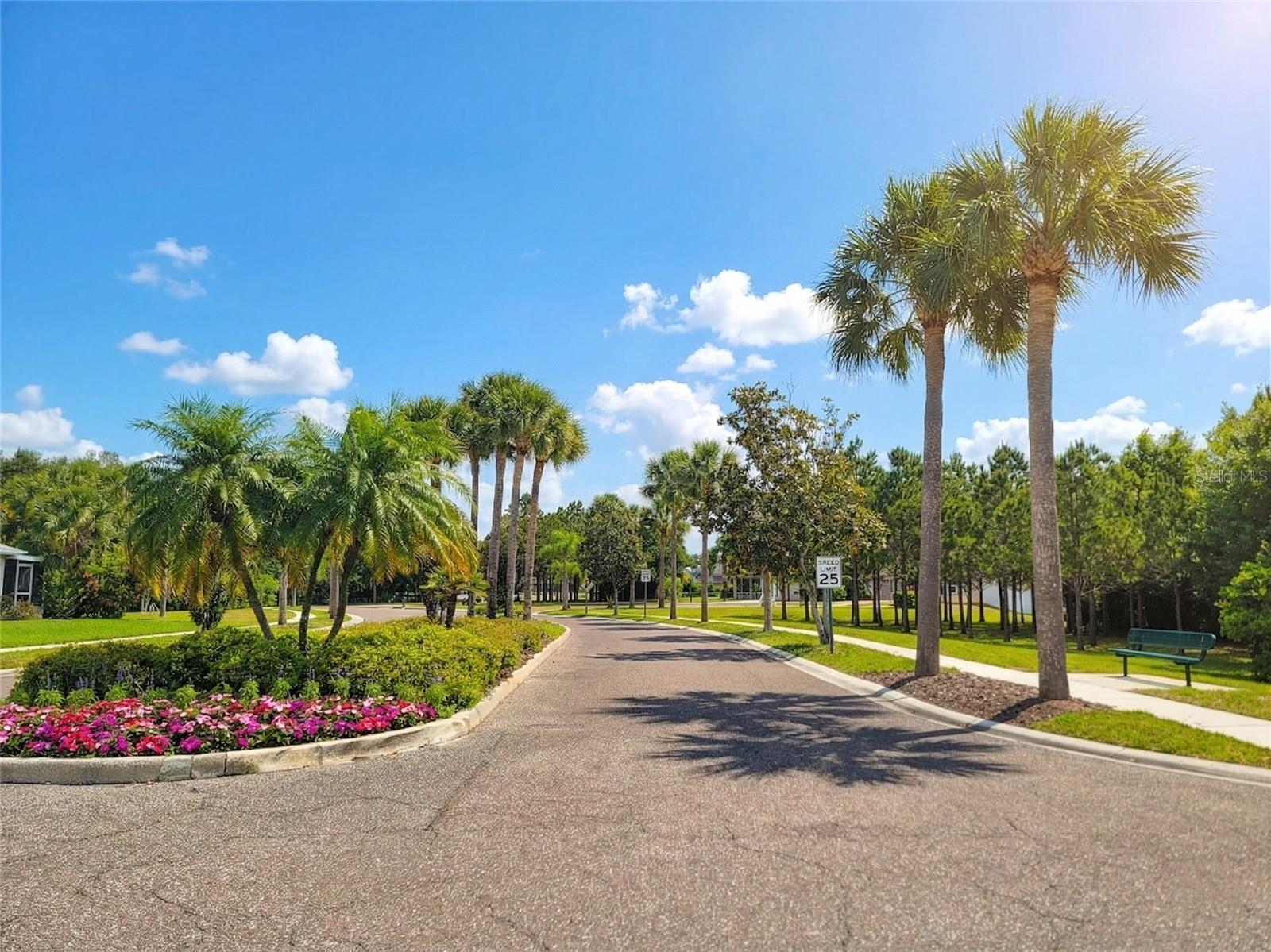 Listing photo id 41 for 1001 Torreya Way