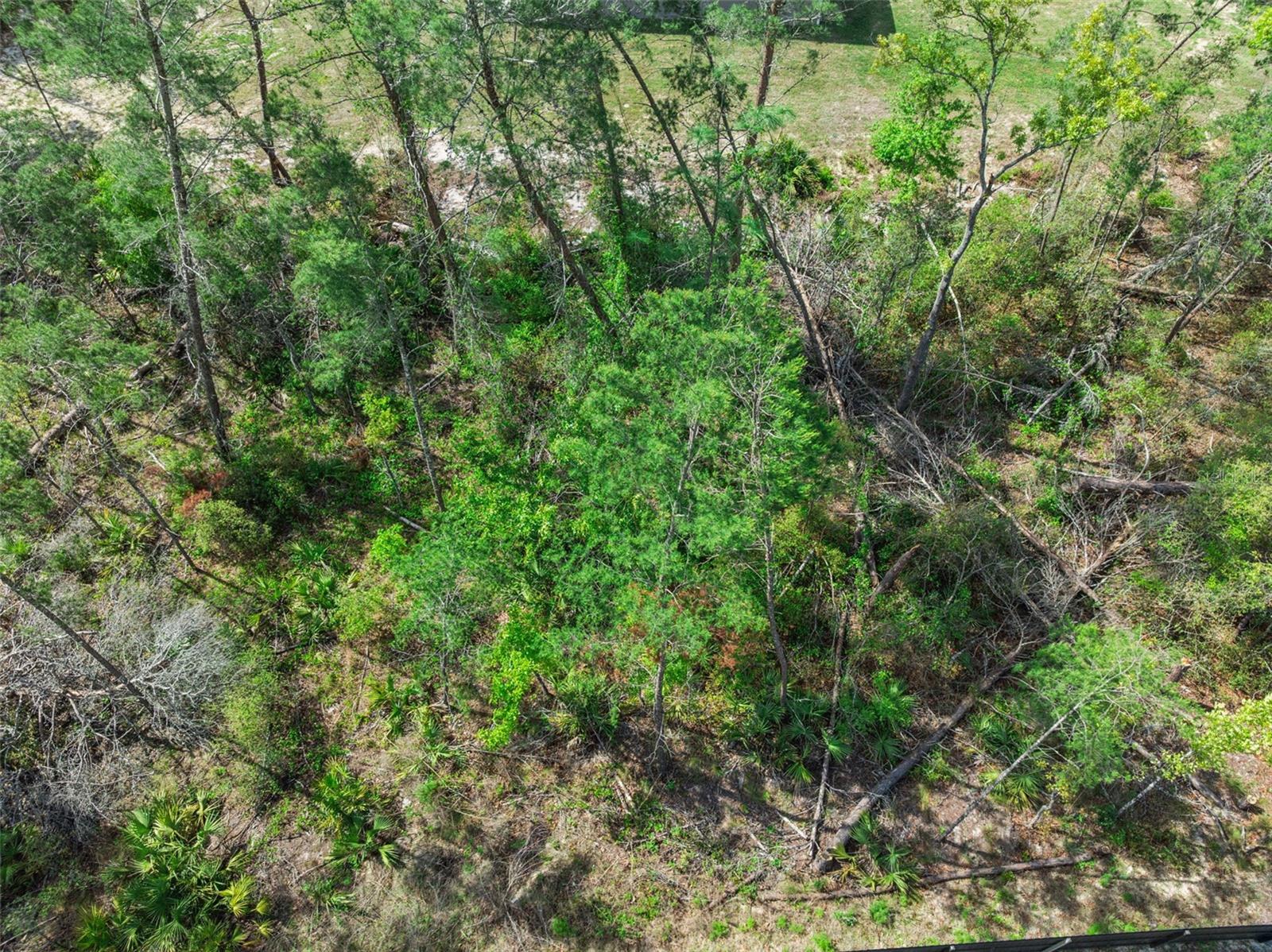 Image 20 of 23 For 4980 Southwest 106th Street