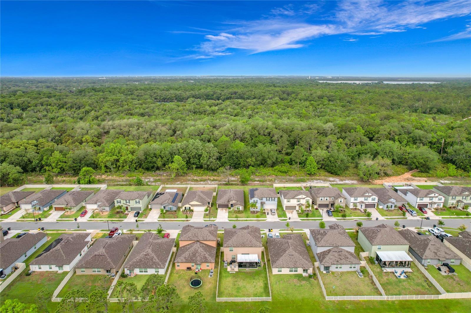 Image 52 of 54 For 1699 Red Loop