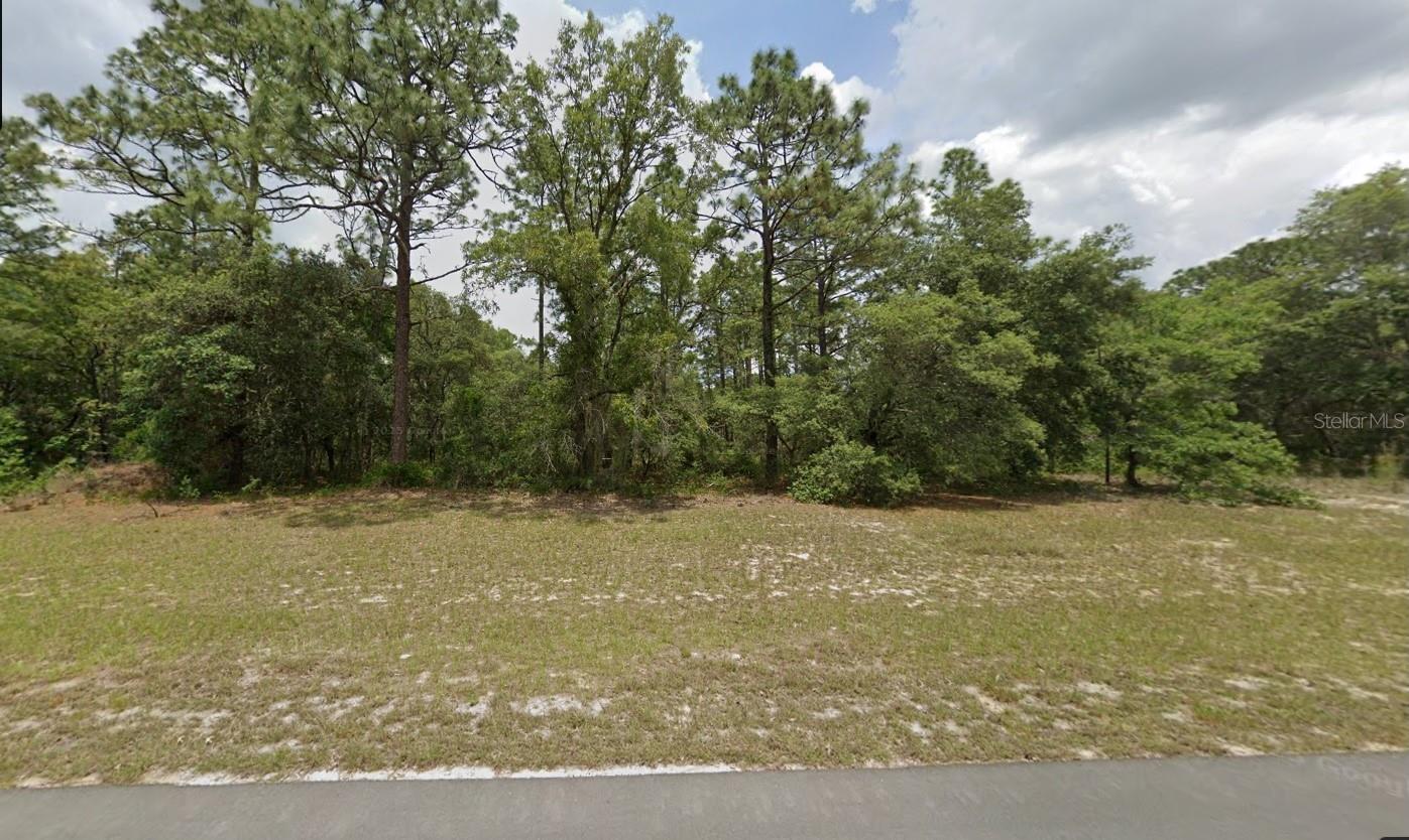 Listing Details for 0 138th St Street Lot 9, OCALA, FL 34473