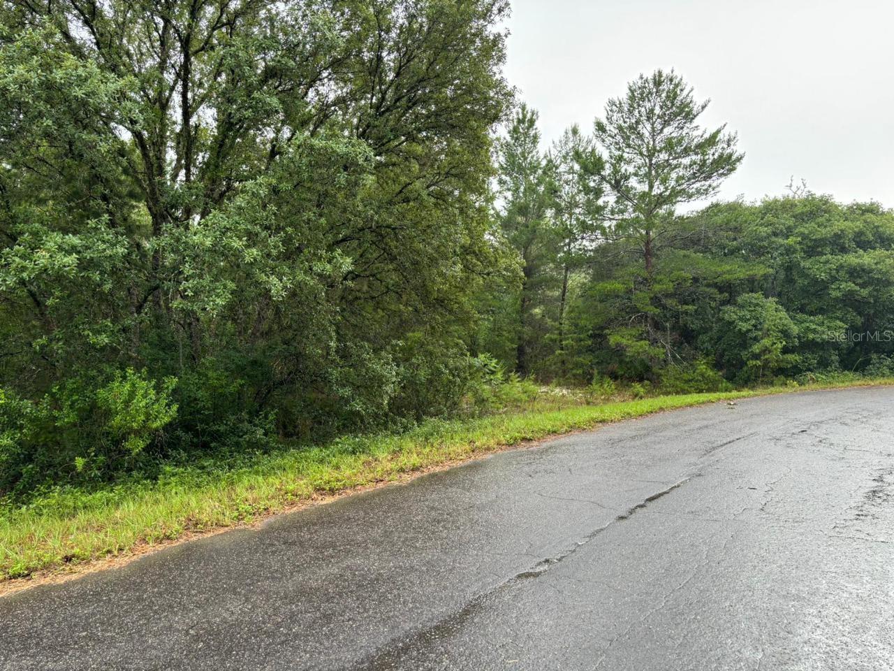 Details for 16 Fisher Court Way, OCKLAWAHA, FL 32179