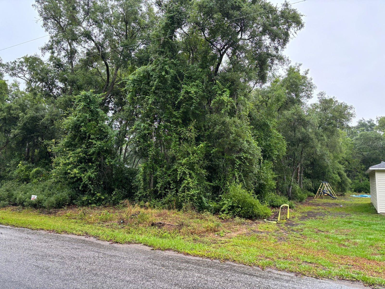 Details for 11 Fisher Way Course, OCKLAWAHA, FL 32179