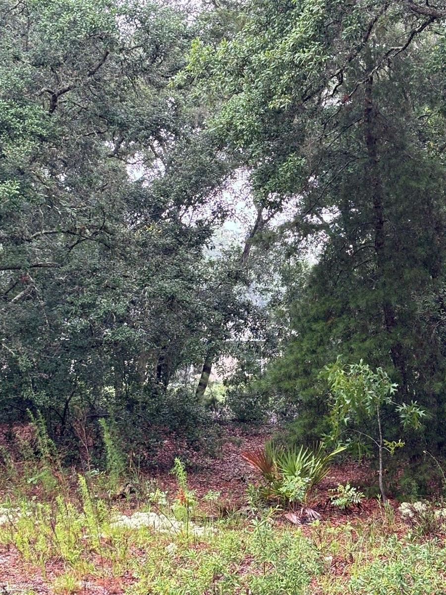 Image 2 of 3 For 7 Fisher Way Drive