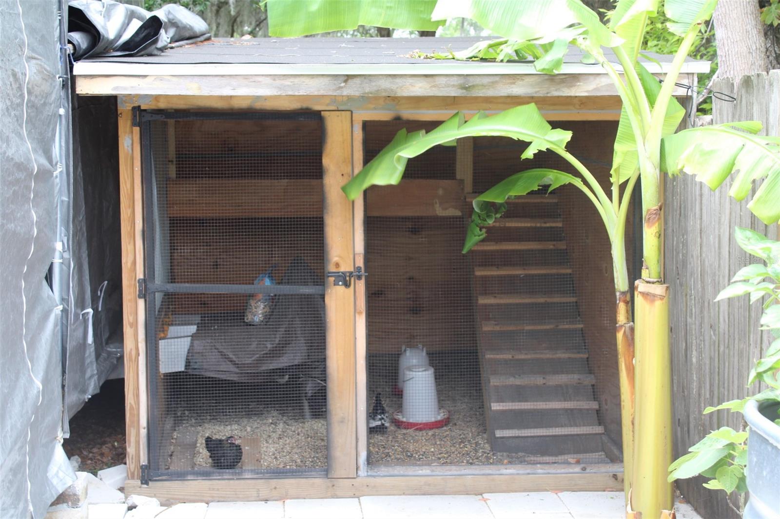 Image 10 of 64 For 820 Pecan Avenue