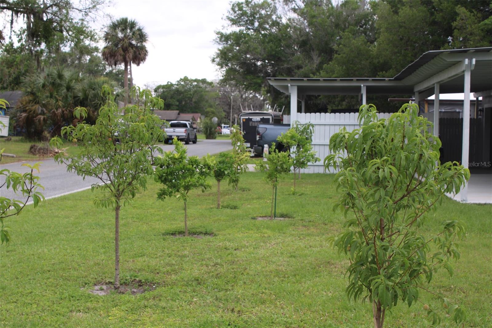 Image 9 of 64 For 820 Pecan Avenue