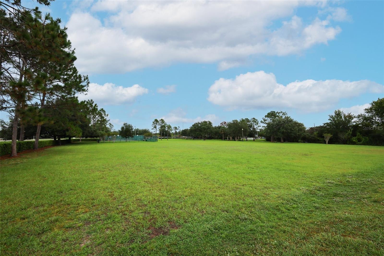 Listing photo id 42 for 15043 Waterford Chase Parkway