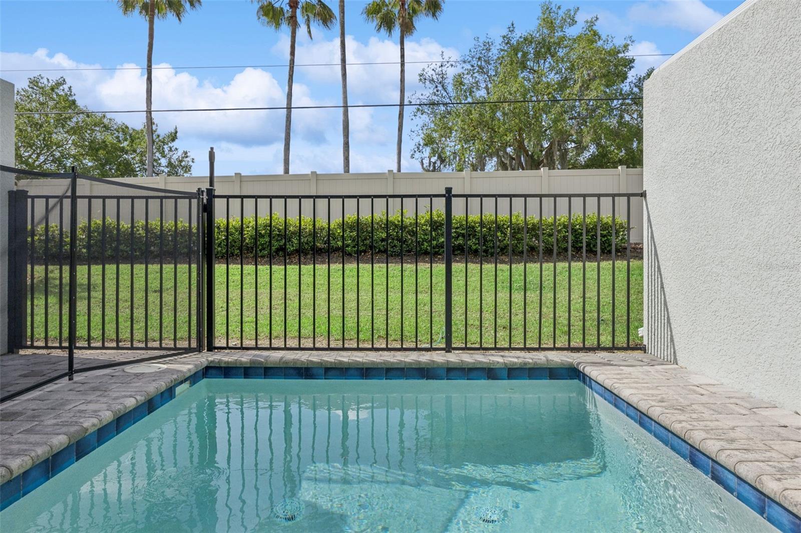 Image 35 of 55 For 8008 Formosa Valley Place