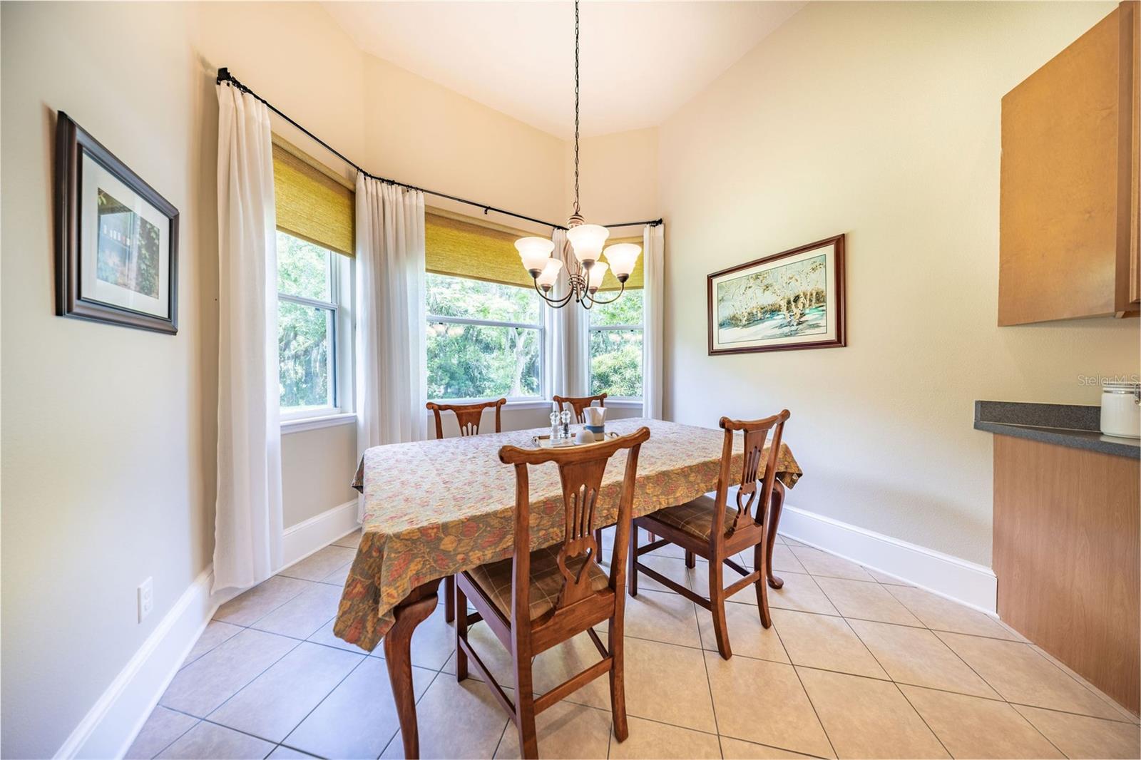 Image 11 of 44 For 1619 Stargazer Terrace