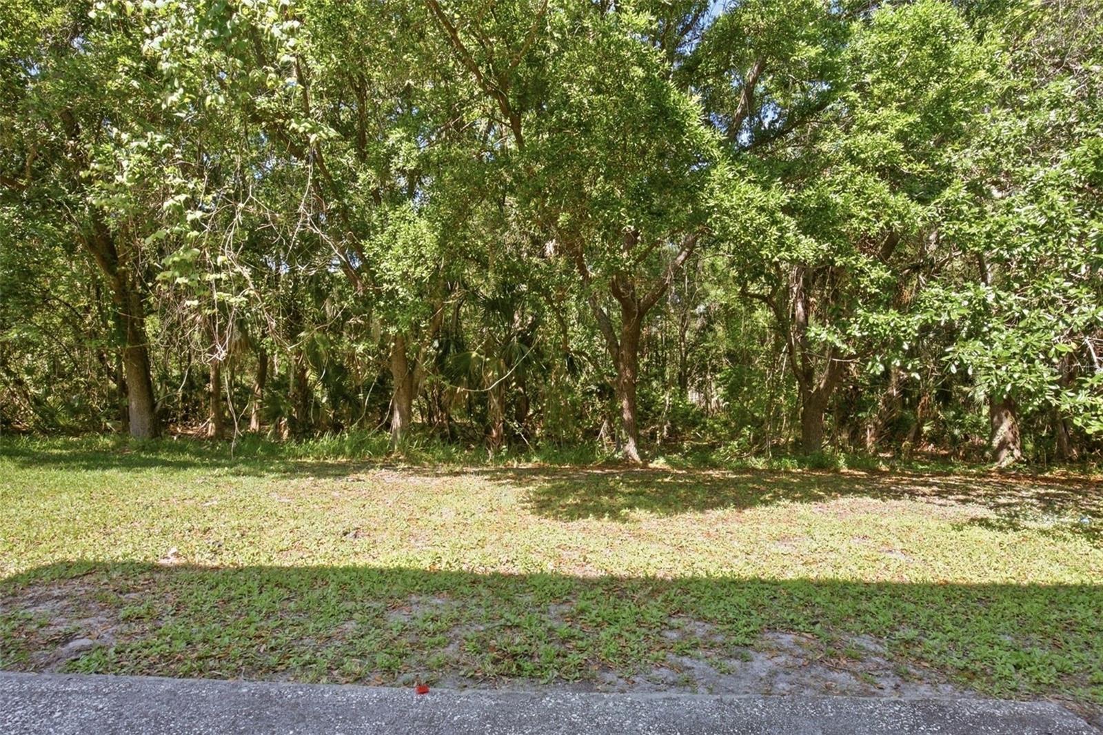 Image 27 of 30 For 19222 Wood Sage Drive