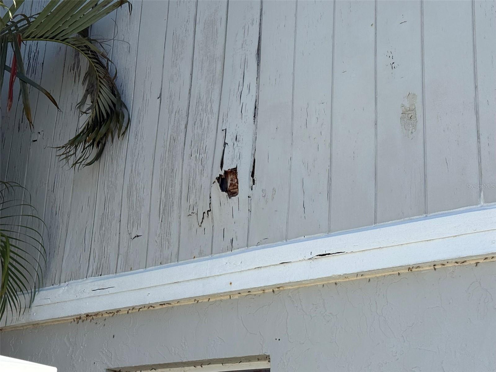 Image 15 of 28 For 7606 37th Street Circle E