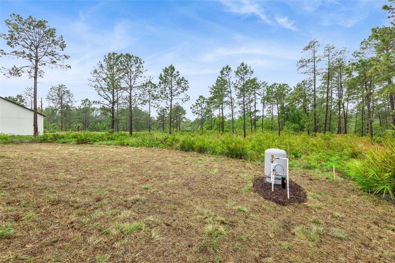 Image 29 of 52 For 42875 Honeysuckle Street