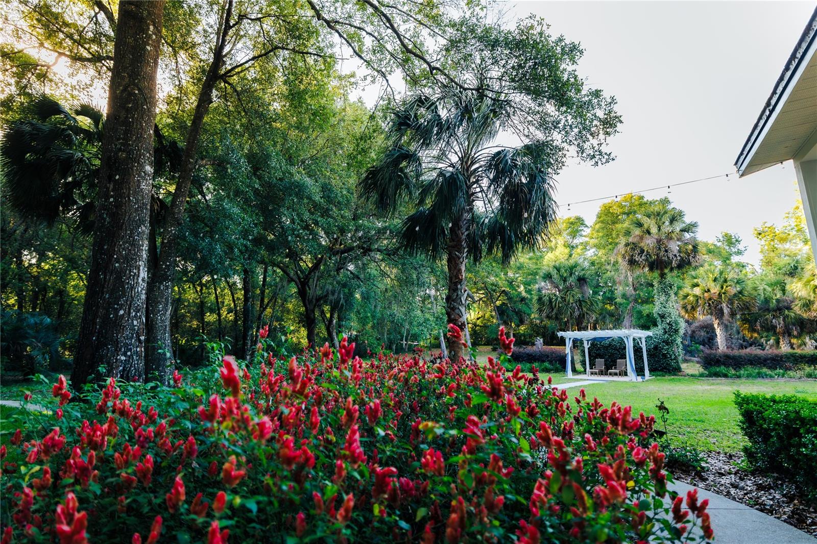 Image 87 of 100 For 215 French Avenue