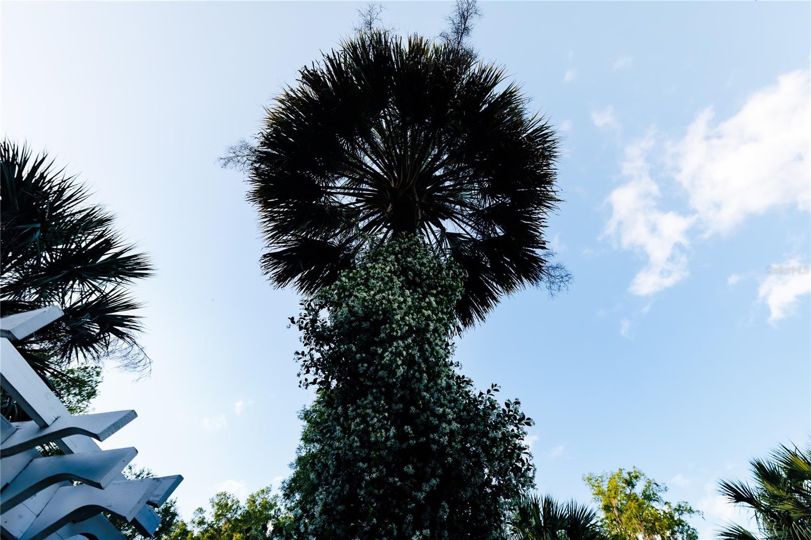 Image 89 of 100 For 215 French Avenue