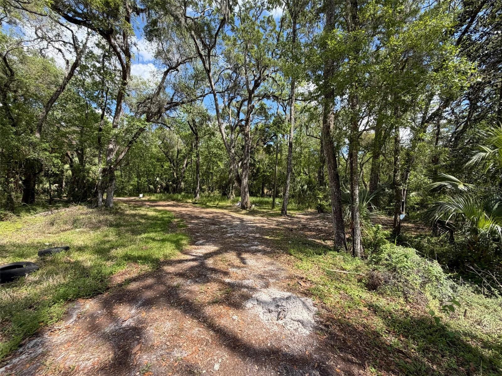 Image 16 of 17 For 7157 Dentala Street